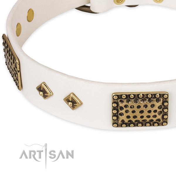 Reliable D-ring on genuine leather dog collar for your pet