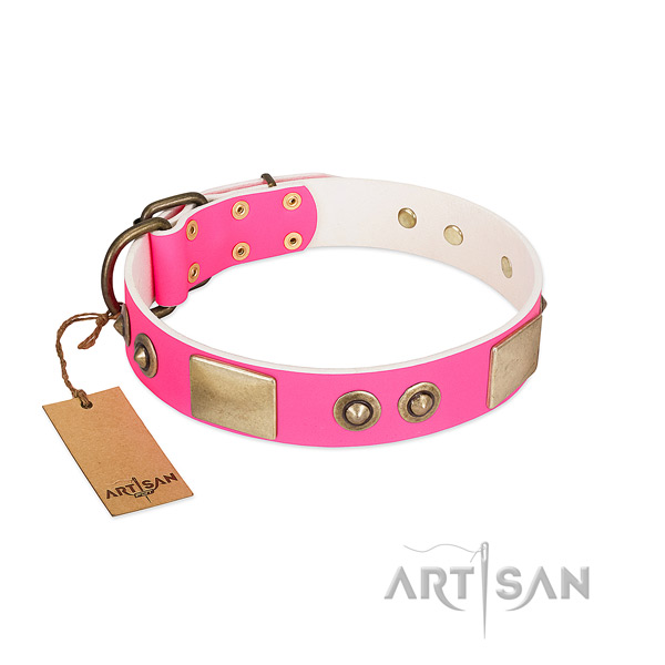 Corrosion resistant studs on full grain genuine leather dog collar for your dog