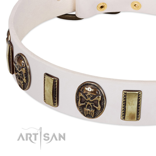 Corrosion proof embellishments on leather dog collar for your canine