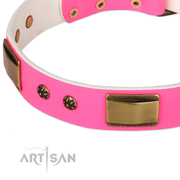 Reliable fittings on full grain leather dog collar for your canine