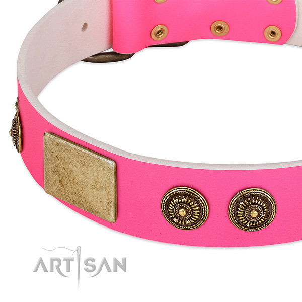 Stylish dog collar made for your handsome dog