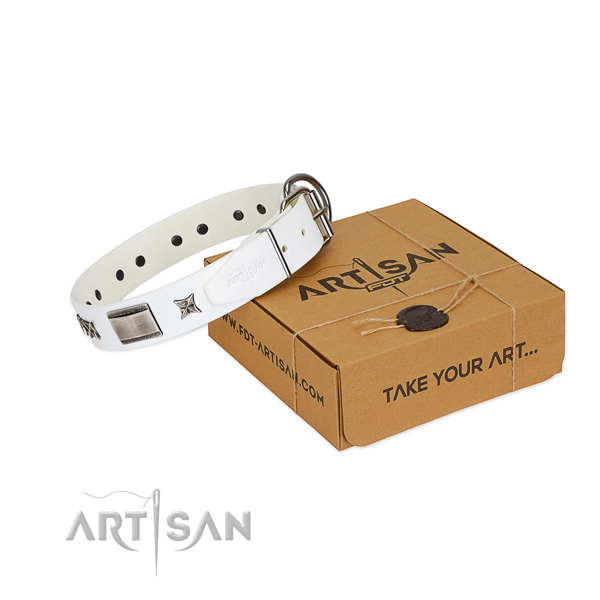 Stylish collar of full grain genuine leather for your handsome pet