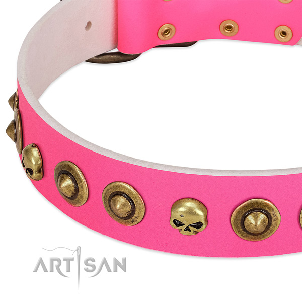 Significant adornments on leather collar for your four-legged friend
