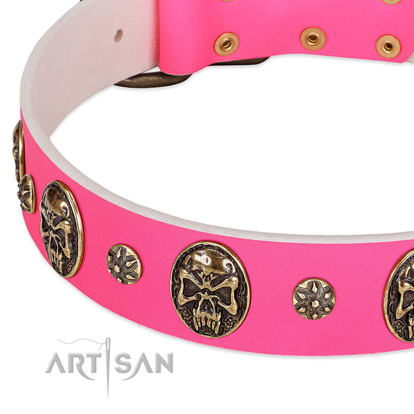 Easy adjustable dog collar crafted for your handsome dog