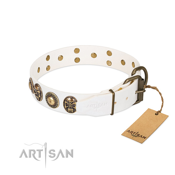 Strong buckle on daily use dog collar