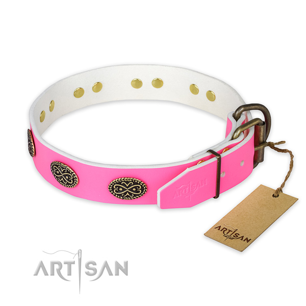 Corrosion proof traditional buckle on comfy wearing dog collar