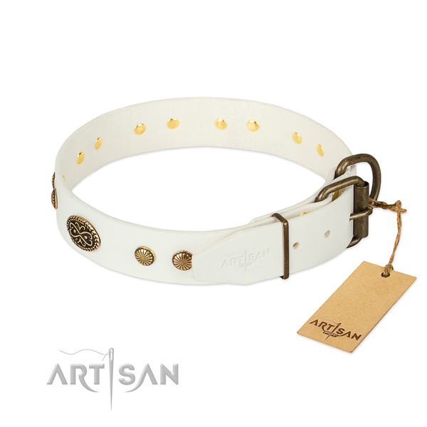 Durable buckle on leather dog collar for your four-legged friend