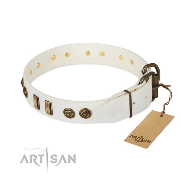 Rust resistant decorations on full grain leather dog collar for your pet