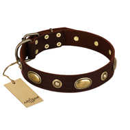"Hebe's Jewel" FDT Artisan Brown Genuine Leather Boxer Collar
