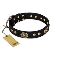 "High Fashion" FDT Artisan Studded with Plates Black Leather Boxer Collar