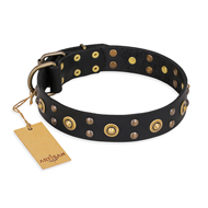 "Cosmic Glow" FDT Artisan Black Leather Boxer Collar with Brass-Plated Studs