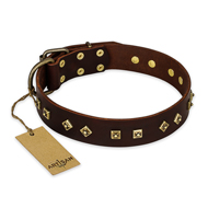 "Fashion Studs" FDT Artisan Decorated Leather Boxer Collar with Old Bronze-Plated Steel Hardware