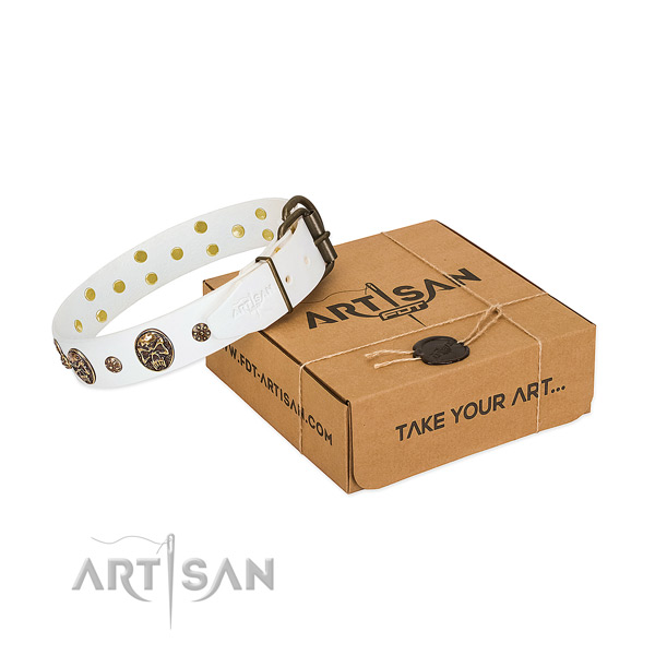 Exquisite genuine leather collar for your beautiful canine