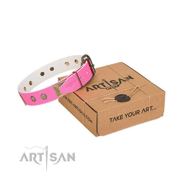 Corrosion resispinkt decorations on dog collar for basic training