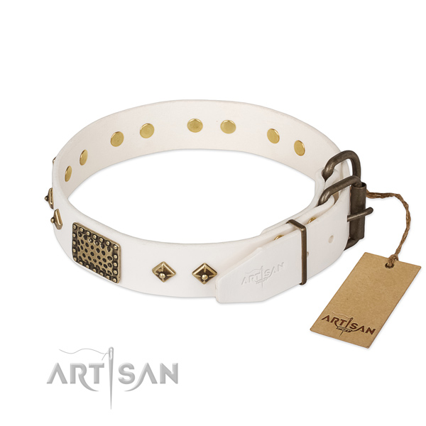 Leather dog collar with corrosion resistant D-ring and decorations