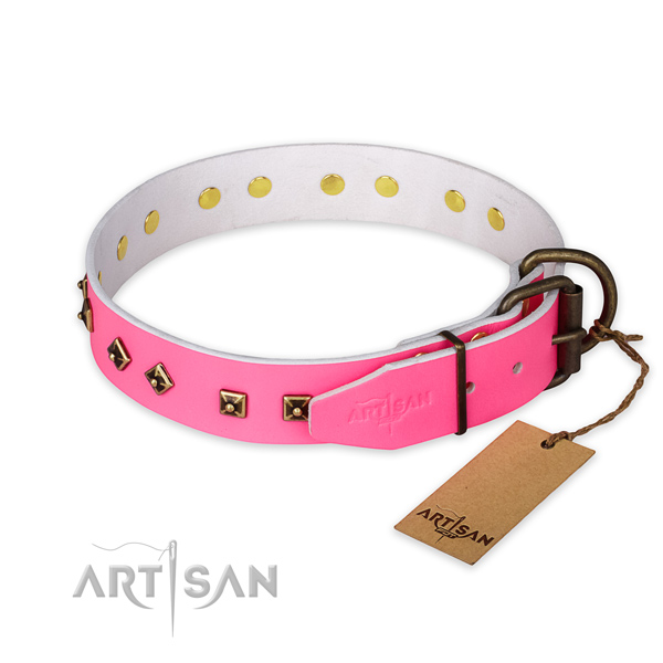 Reliable traditional buckle on natural leather collar for walking your four-legged friend