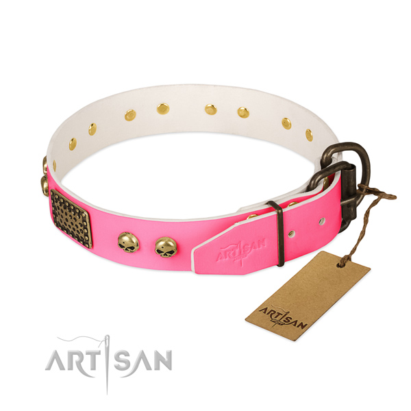 Durable adornments on everyday use dog collar