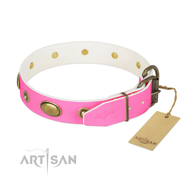 Corrosion proof adornments on full grain natural leather dog collar for your canine