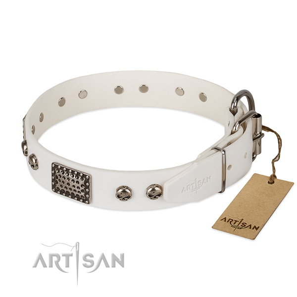 Reliable D-ring on basic training dog collar