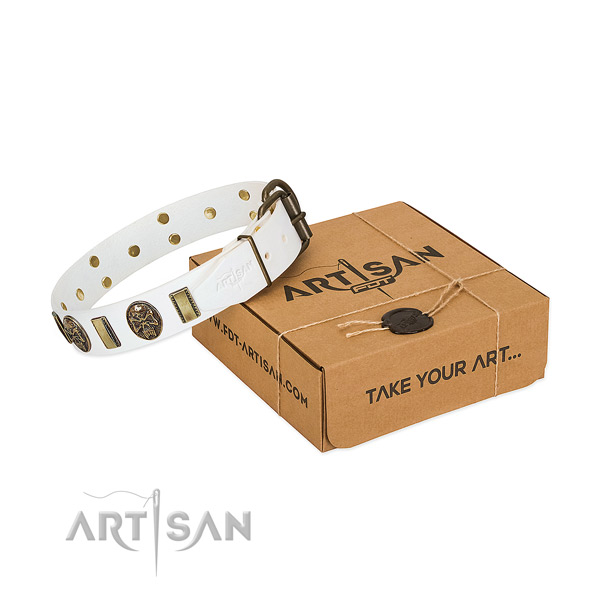 Corrosion proof traditional buckle on full grain genuine leather dog collar for comfy wearing