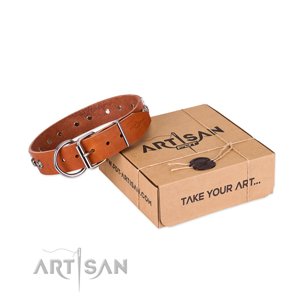 Durable embellishments on dog collar for stylish walking