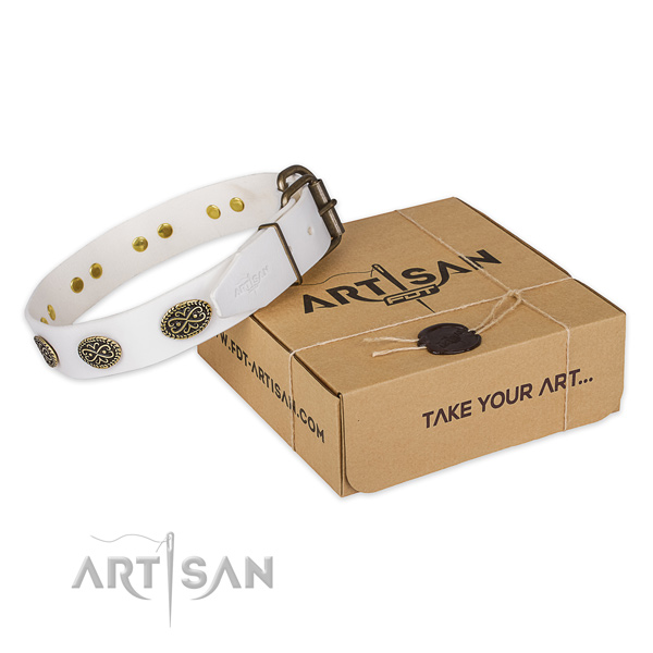 Reliable hardware on full grain natural leather dog collar for daily use