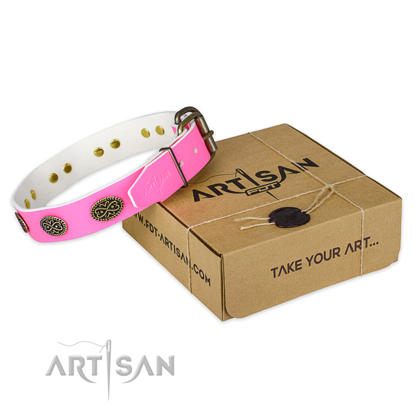 Embellished full grain leather dog collar for daily walking