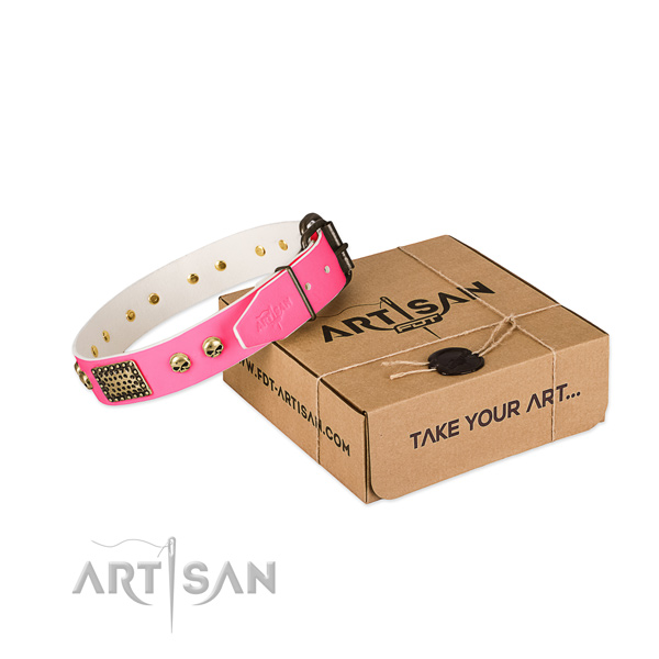 Corrosion proof embellishments on dog collar for basic training