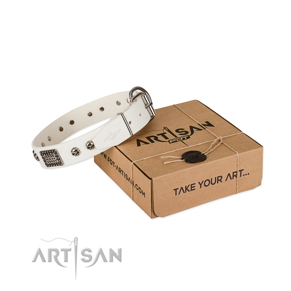 Rust-proof studs on dog collar for comfortable wearing