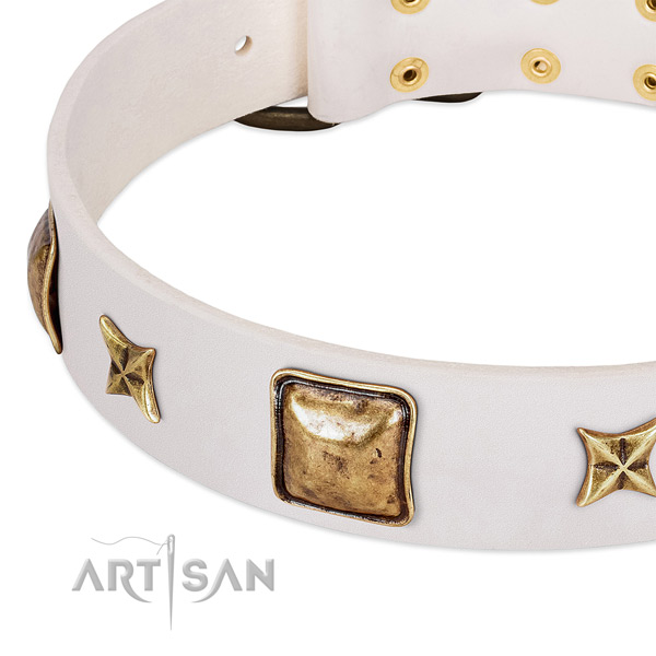 Reliable studs on leather dog collar for your doggie