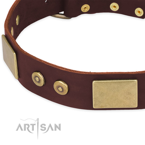 Full grain genuine leather dog collar with adornments for daily use
