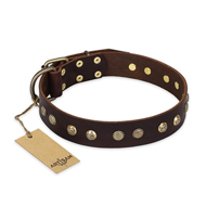 "Bronze Sheen" FDT Artisan Leather Boxer Collar with Brass-Plated Studs