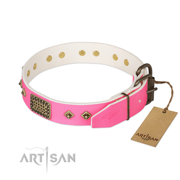 Strong traditional buckle on stylish walking dog collar