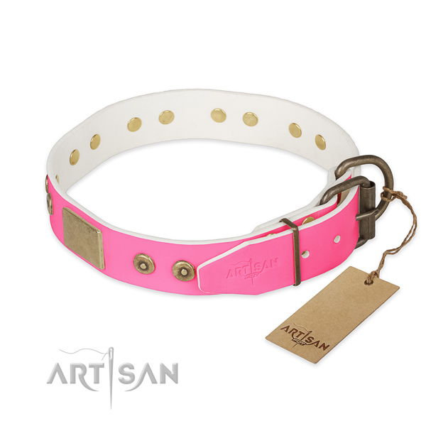 Strong hardware on everyday use dog collar