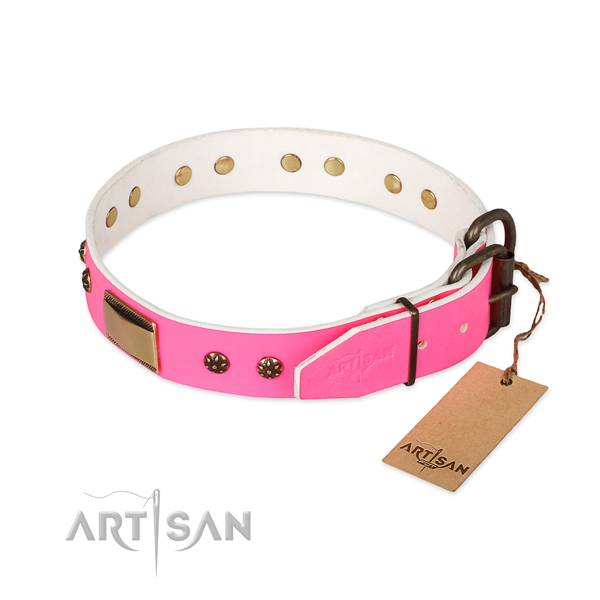 Durable studs on genuine leather dog collar for your four-legged friend