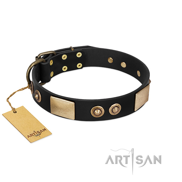 Easy wearing genuine leather dog collar for daily walking your canine