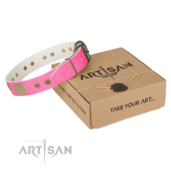 Rust-proof D-ring on dog collar for handy use