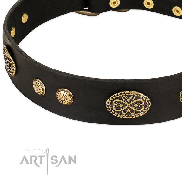 Rust-proof studs on leather dog collar for your pet