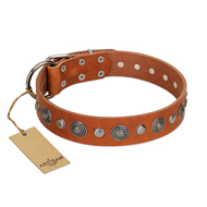"Natural Beauty" FDT Artisan Tan Leather Boxer Collar with Shining Silver-like Studs