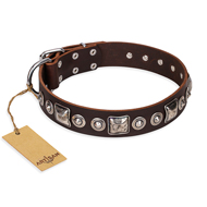 "Pierian spring" FDT Artisan Brown Leather Boxer Collar with Silvery Decorations