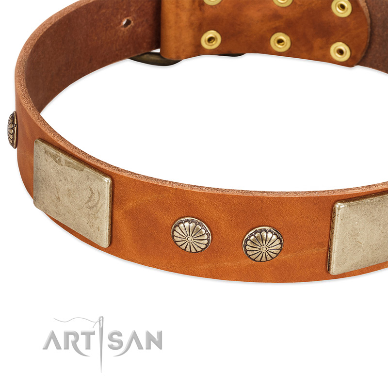 Kentaur Australia - Leather 'Bit' Dog Collar