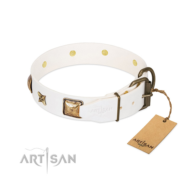Full grain natural leather dog collar with rust resistant hardware and studs