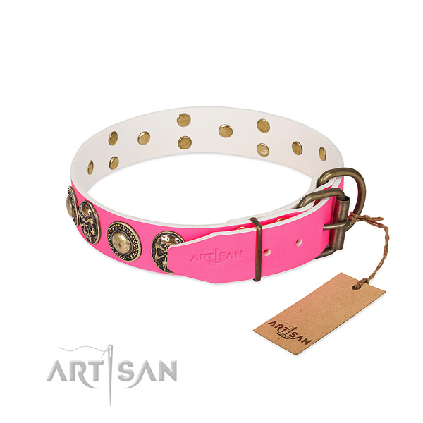 Durable buckle on stylish walking dog collar