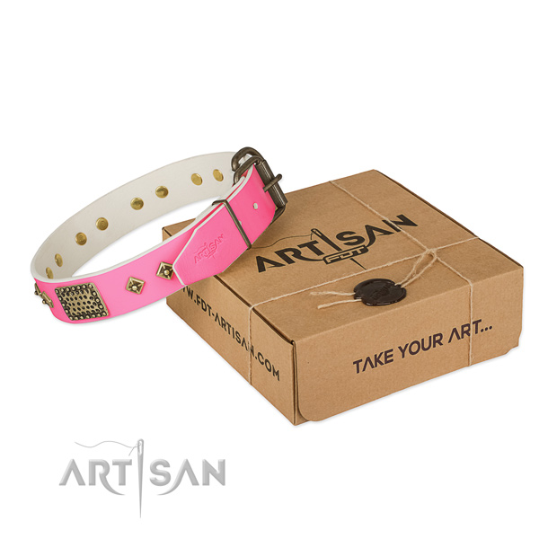 Corrosion proof studs on dog collar for basic training