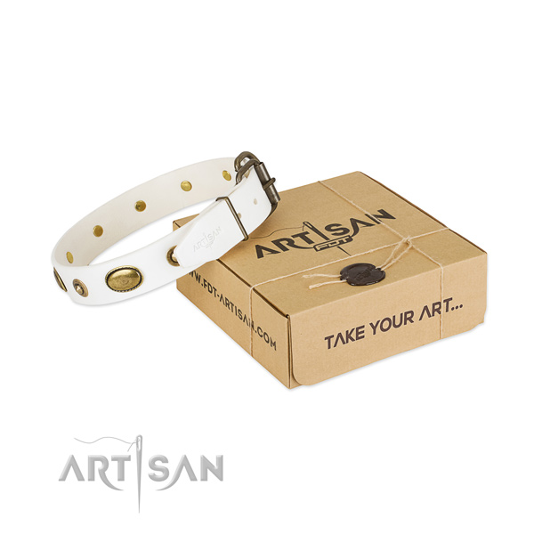 Exceptional full grain genuine leather collar for your attractive doggie