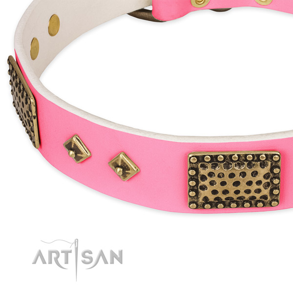 Leather dog collar with embellishments for daily walking