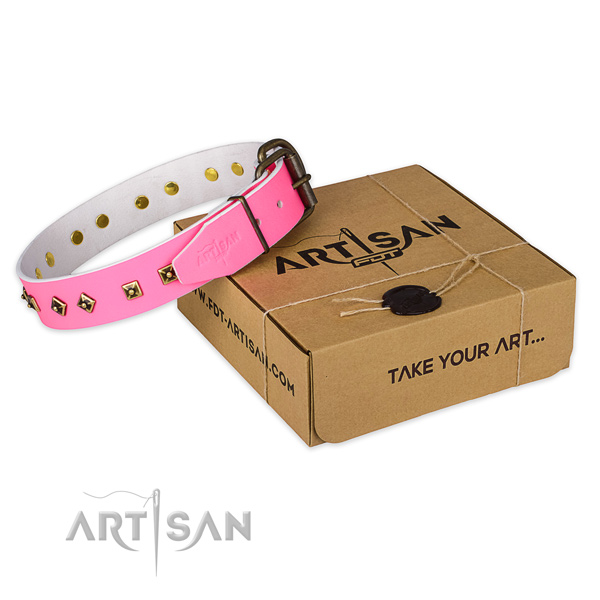 Reliable fittings on full grain natural leather dog collar for walking