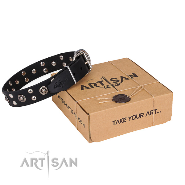 Everyday use dog collar with Unique strong decorations