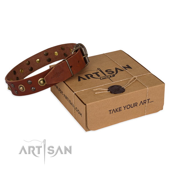 Reliable D-ring on leather collar for your beautiful canine