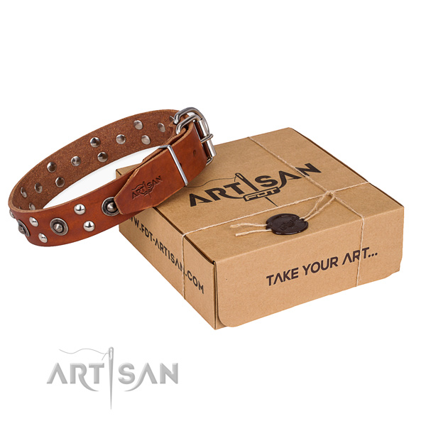 Rust resistant D-ring on genuine leather collar for your impressive pet